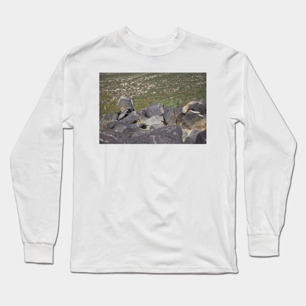 850_8484 Long Sleeve T-Shirt by wgcosby